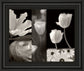 Summer Garden Il By Dennis Frates - Framed Print Wall Art - Dark Gray
