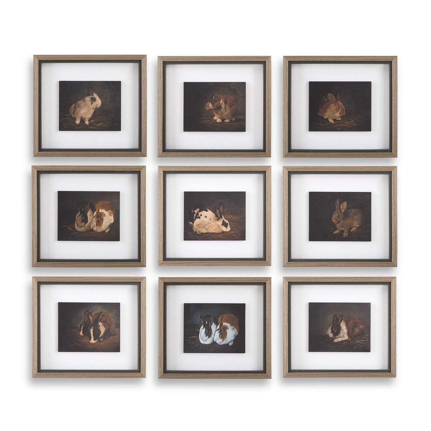 Resting Bunny - Framed Prints (Set of 9) - Dark Brown