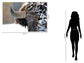 Tempered Glass With Foil - Snowy Bison - Dark Brown