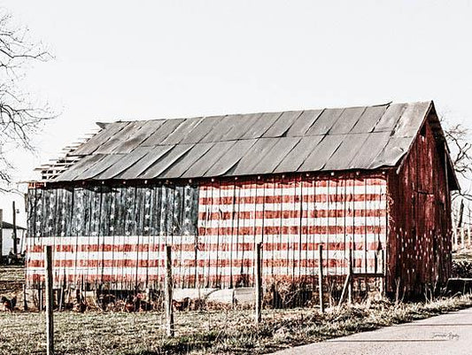 American Flag Barn By Jennifer Rigsby - Gray