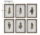 Birds Of A Feather - Framed Prints (Set of 6)
