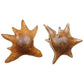 Starpetal - Indoor-Outdoor Wooden Bowls (Set of 2) - Black / Woodtone