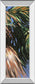 Wild Palm Il By Suzanne Wilkins - Mirror Framed Print Wall Art - Dark Green
