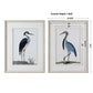 Shore Birds - Framed Prints (Set of 2) - Black