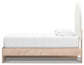 Arloster - Upholstered Panel Bed