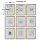 Nature's - Script Framed Botanical Prints (Set of 9) - Gold / Green / White