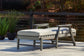 Visola - Chaise Lounge with Cushion - Gray