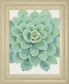 22x26 Pastel Succulent III By Tim OToole - Green