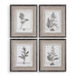 Casual Gray Study - Framed Art (Set of 4) - Beige