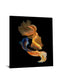 Tempered Glass With Foil - Ying Yang Fish - Black