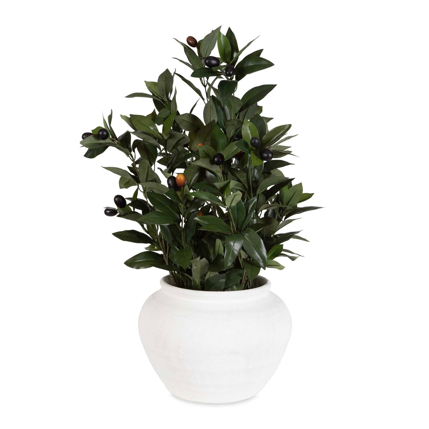 Elena Olive - Centerpiece - White