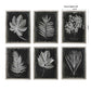 Foliage - Framed Prints (Set of 6) - Black