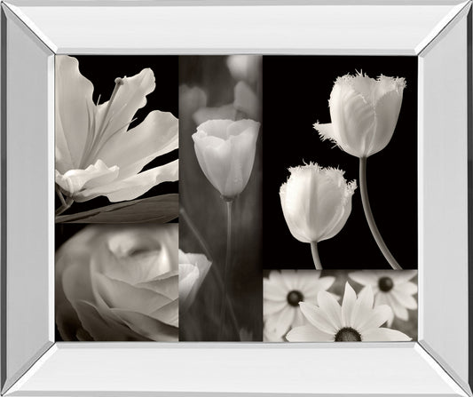 Summer Garden Il By Dennis Frates - Mirror Framed Print Wall Art - Dark Gray