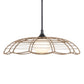 Lakeside - Indoor-Outdoor 1 Light Pendant - Black