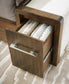 Marxmore - Upholstered Storage Bed
