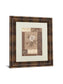 Single Peony By Vivian Flasch - Framed Print Wall Art - Light Brown