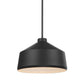 Holgate - 1 Light Pendant - Black