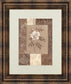 Single Rose By Vivian Flasch - Framed Print Wall Art - Light Brown