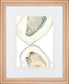 Ocean Oysters II By June Erica Vess - Gray