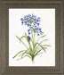 22x26 Lively Botanical I By Sally Swatland - White