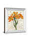 Eurphoria Botany By Sue Schlabach - Mirror Framed Print Wall Art - Orange