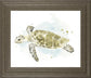 22x26 Watercolor Sea Turtle Study II By June Erica Vess - Beige
