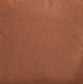 Caygan - Throw Pillow