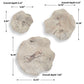 Teo - Wall Decor (Set of 3)