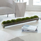 Canal - Moss Centerpiece