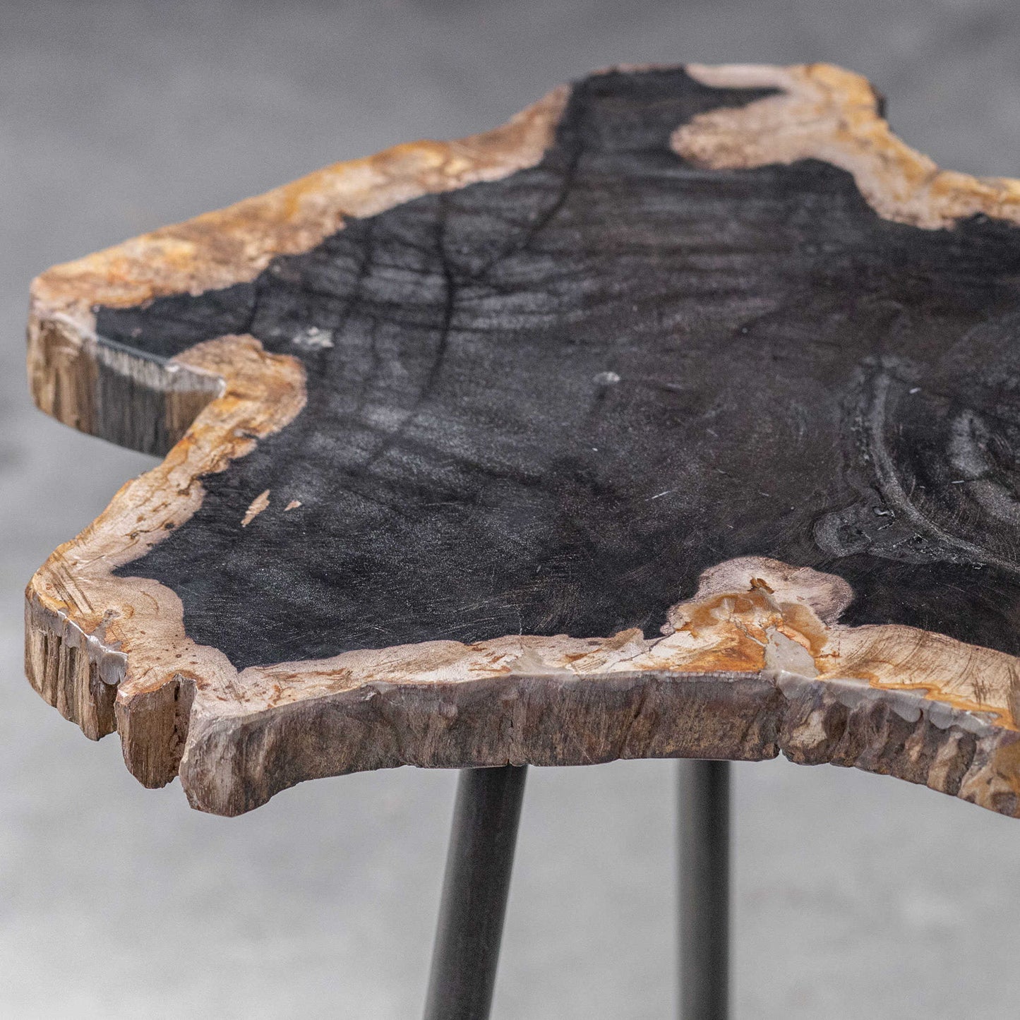 Mircea - Petrified Wood Accent Table - Black & Light Brown