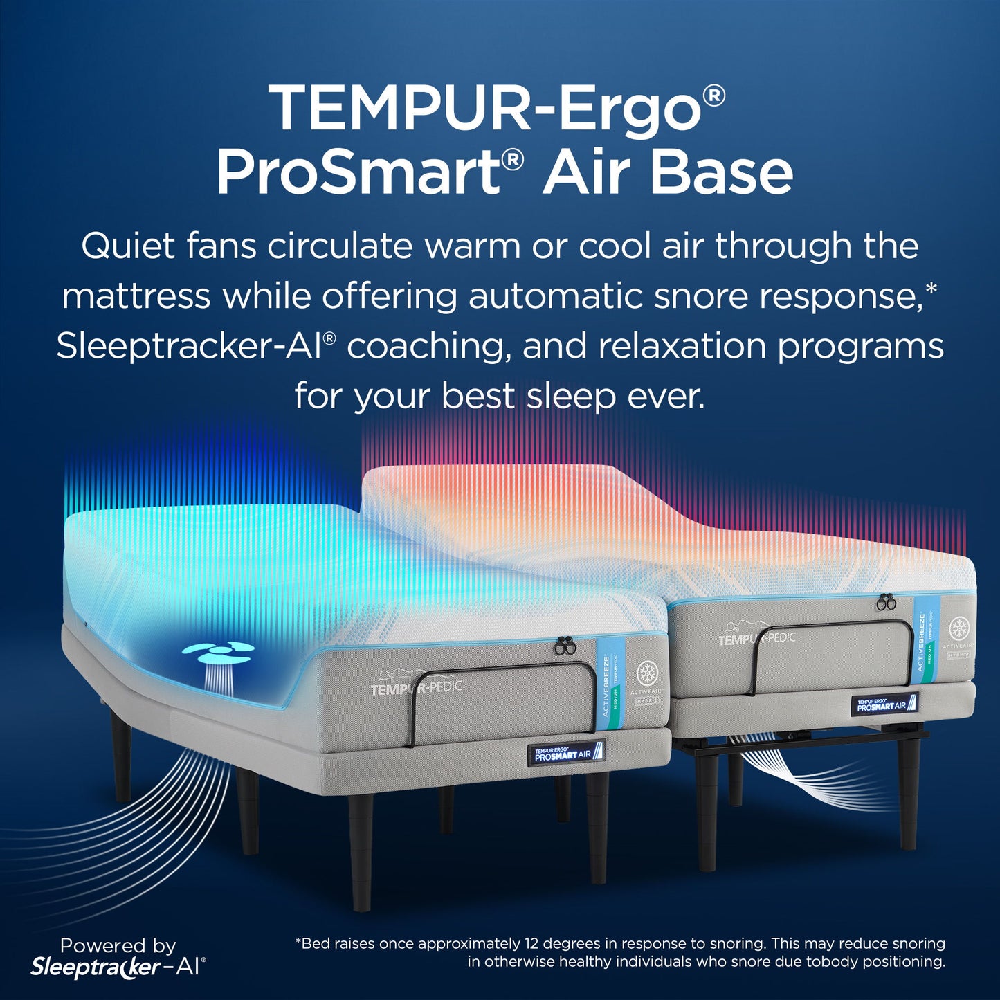 Tempur - Ergo ProSmart Air Base - Twin Long