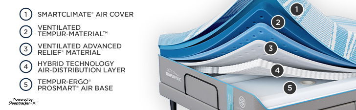 Tempur - Ergo ProSmart Air Base - Queen