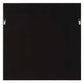 Tiger Sea Urchin - Shadow Box - Brown