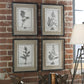 Casual Gray Study - Framed Art (Set of 4) - Beige