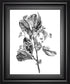 22x26 Hawthorn Berry Branch II By Emma Scarvey - White