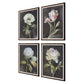 Florals On Black - Framed Prints (Set of 4) - Black