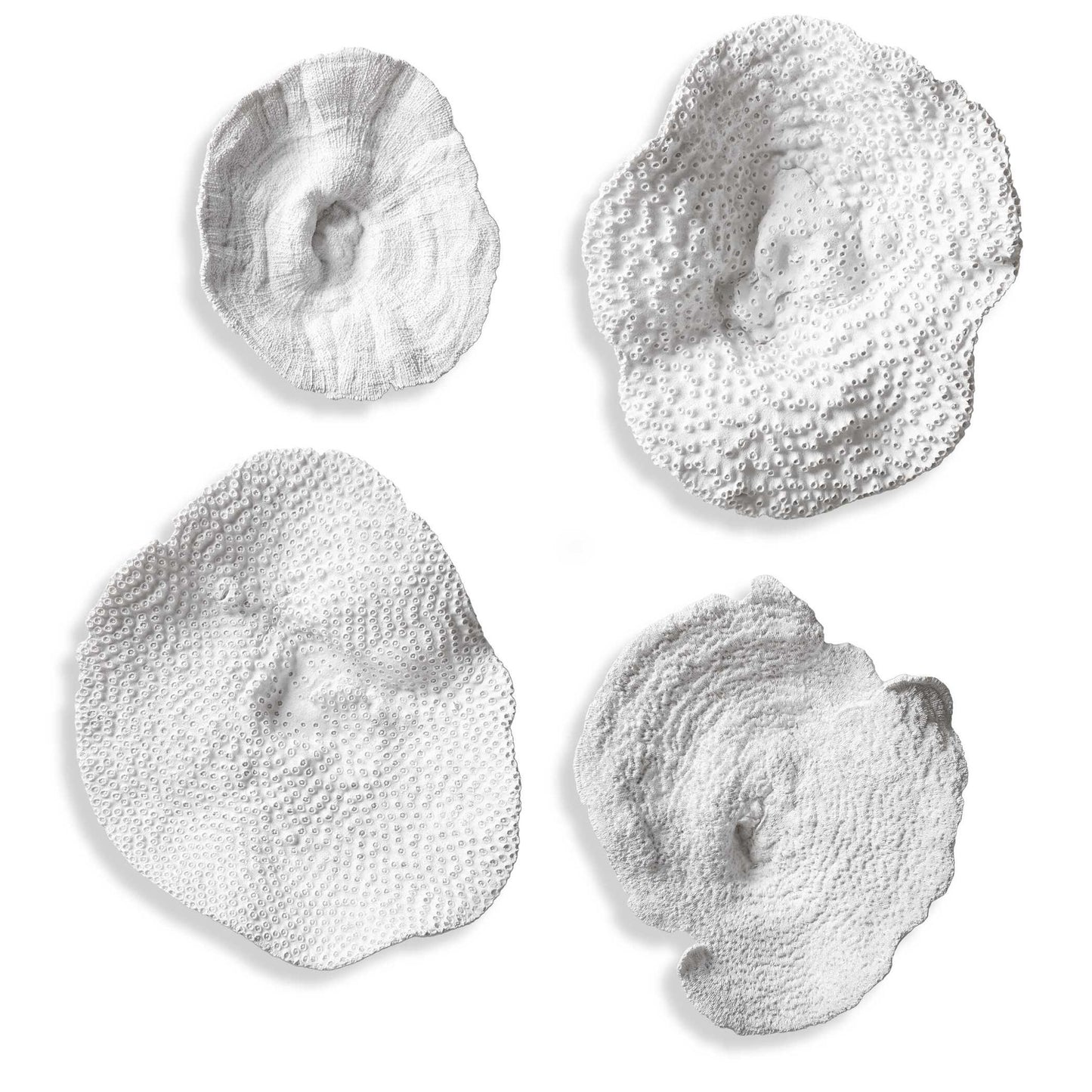 Sea Coral - Wall Art (Set of 4) - White
