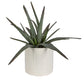 Taos - Aloe Centerpiece - Pearl Silver