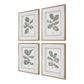 Fiddle Head - Leaf Botanical Prints (Set of 4) - Gold / Green / White