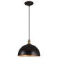 Placuna - 1 Light Pendant - Bronze