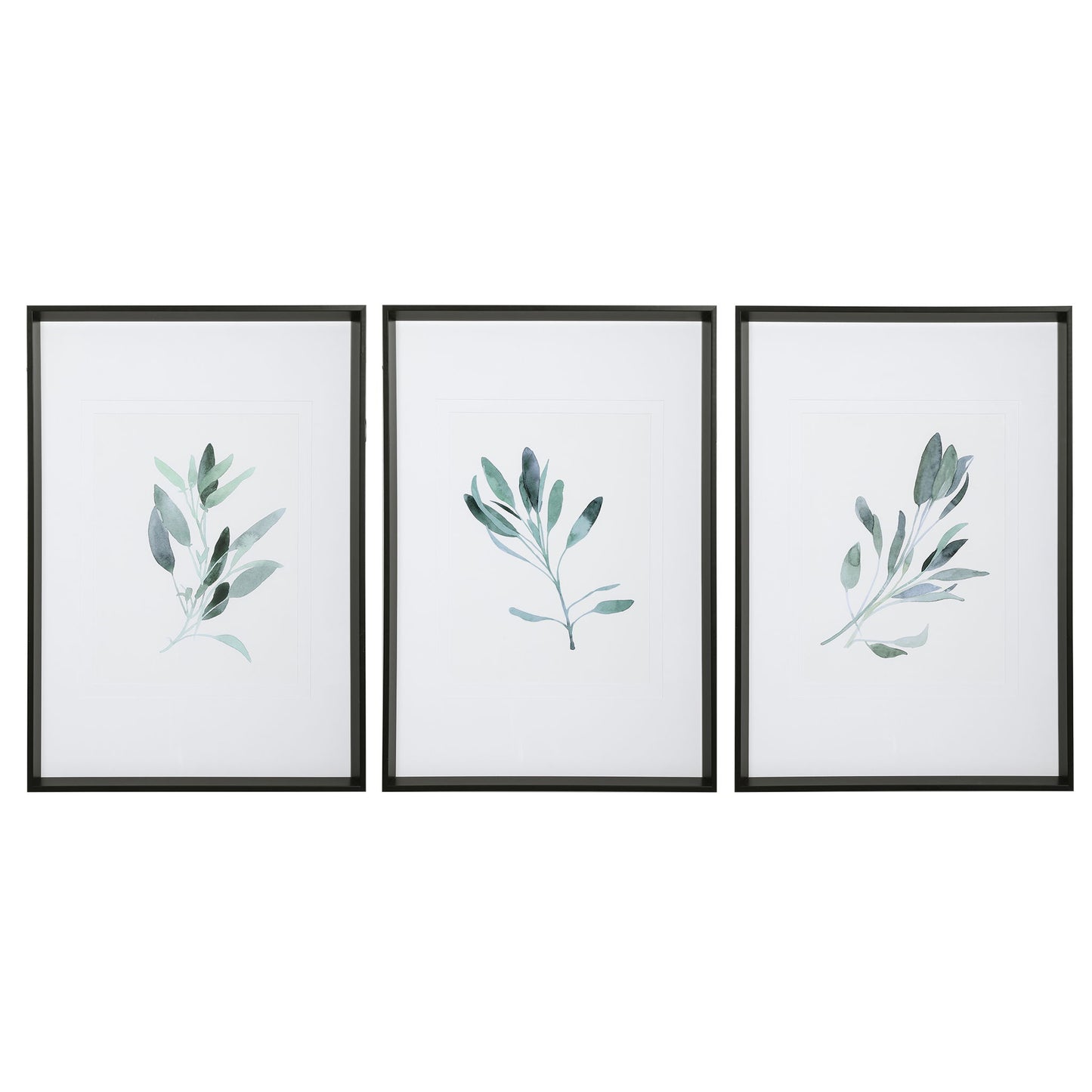 Simple Sage - Watercolor Prints (Set of 3) - White