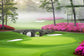 Misty Fairway Bridge Tempered Glass - Green / Pink