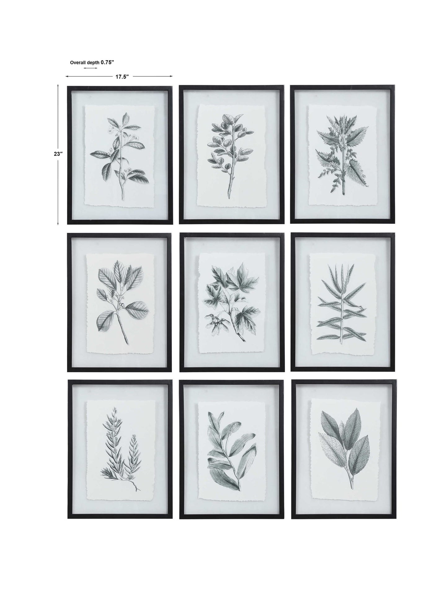 Farmhouse Florals - Framed Prints (Set of 9) - Black