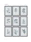 Farmhouse Florals - Framed Prints (Set of 9) - Black