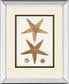 Coastal Curiosity I By Unknown - Light Brown