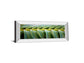 Palma I By Susan Bryant - Mirror Framed Print Wall Art - Green