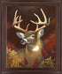 Crimson Meadow Stag - 28" x 34" Framed Wall Art - Dark Brown