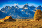 Tempered Glass With Foil - Mountainous Barn - Blue