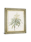 Dracaena Reflexa By Pierre Joseph Redoute - Framed Print Wall Art - Green