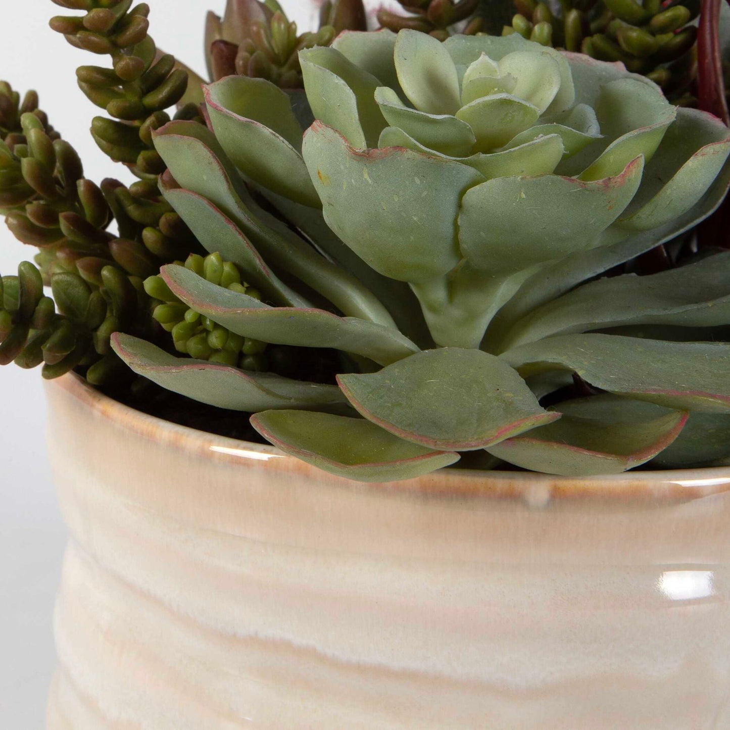 Mesa Succulent Accent - Pearl Silver